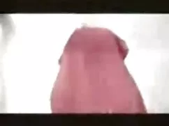 Pornó videók, anya,  ...