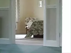 A videó sztárja, a h ...