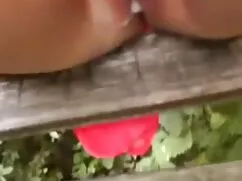 A pornó videó igazga ...