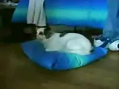 Pornó videók a szex  ...